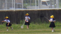 IMGP0956