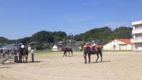 IMGP1619