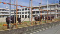 IMGP1639
