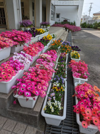 ホーム 今治市立菊間小学校