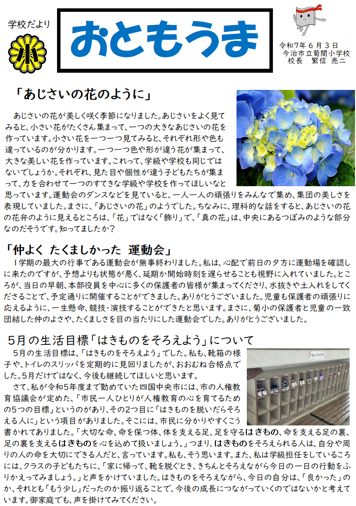 6月アジサイ