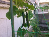 DSCF0101
