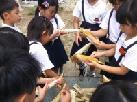 DSCF0247