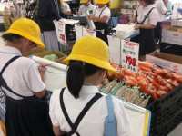 DSCF0274